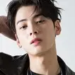 O Melhor Hit-Cha Eun-Woo.webp