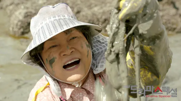 Especial de drama de KBS: La isla de la madre