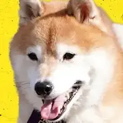 Nanba MG5-Mamesaburo.webp