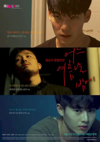 Una notte d'estate (2017)