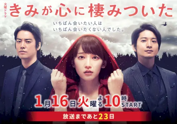 Tu tormenti sempre il mio cuore