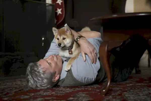 Hachiko – Ein Hund