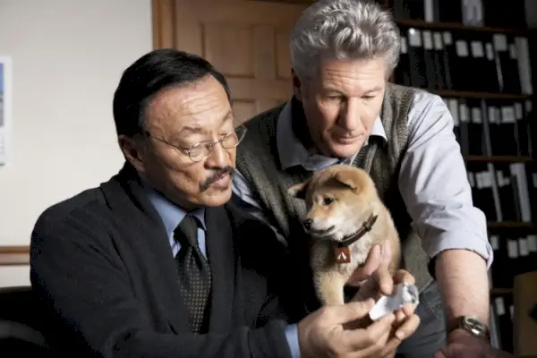 Hachiko – Ein Hund