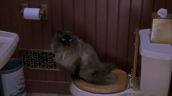 10 cenas de voo de gatos em filmes, Tiffany Breakfast in Captain Marvel (foto)