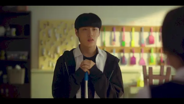 Jahreszeiten der Blüte: 1-4 (Erste Eindrücke)