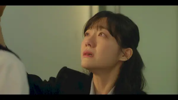 Jahreszeiten der Blüte: 1-4 (Erste Eindrücke)