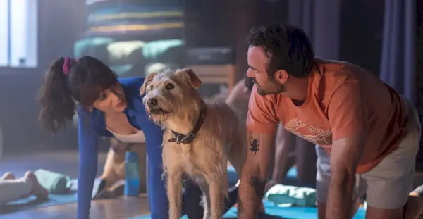 Transmítalo u omítalo: 'Merv' en Amazon Prime Video, una comedia romántica navideña de alto concepto basada en perros y protagonizada por Zooey Deschanel y Charlie Cox