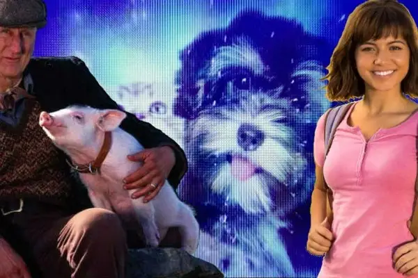 20 filmes com um final feliz para esquecer a pandemia (foto)