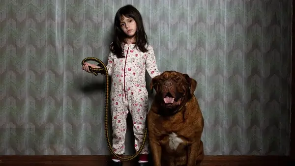 A little girl stands next to a large dog, holding his leash and looking direct into camera in still photo from 