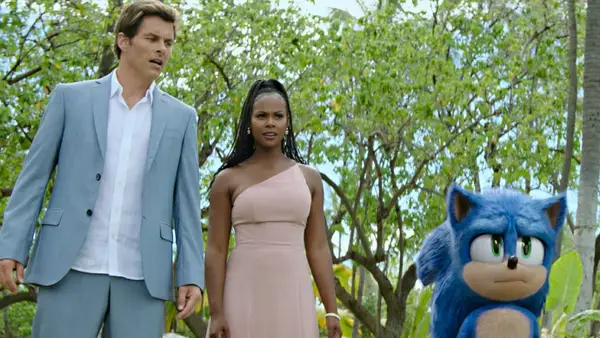 Manual do caráter de Sonic the Hedgehog 2: Quem está abaixo? (Foto)