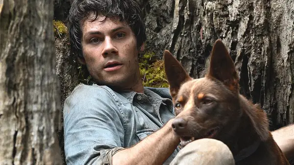 15 filmes em que o cachorro não morre (foto)