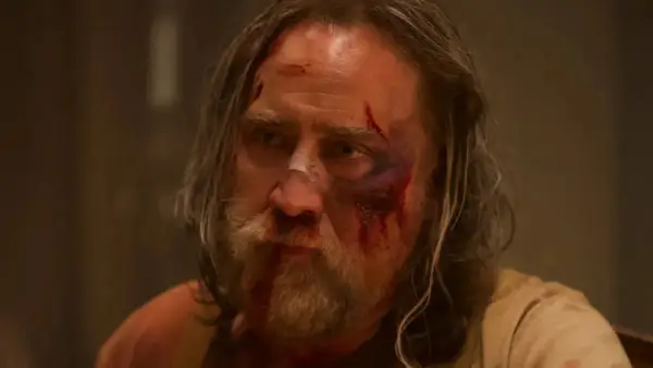 Il maiale dello scrittore spiega perché il dramma delle gabbie di Nicolas non sembra John Wick con un maiale