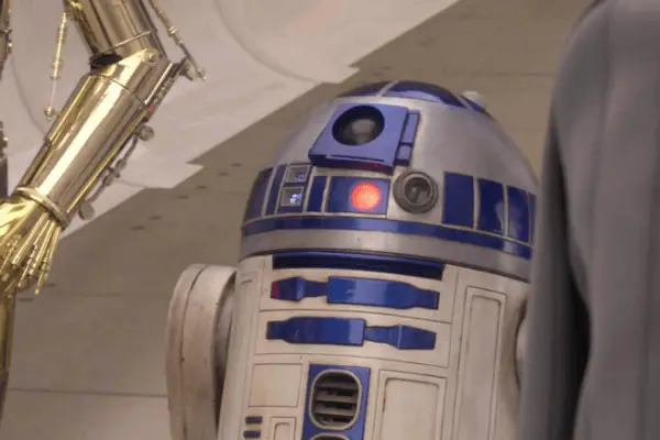 Le più belle creature di Star Wars, classificate: Ewoks, droghe o il più delizioso Porg? (Foto)