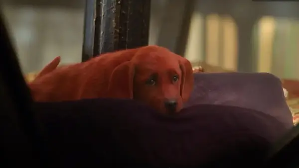 Como você pode ver Clifford, o Big Red Dog: a transmissão de filmes familiares será transferida?