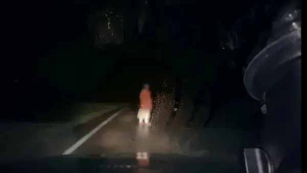 Dashcam Movie Review: Like a Internet Troll, The Shock of Horror Film si gira in faccia in un nemico