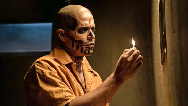 I 20 segni CC più potenti e classificati