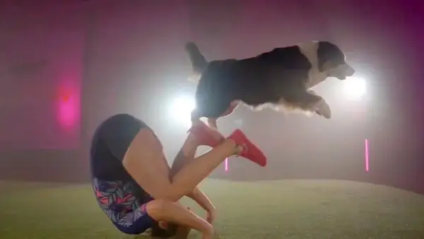 Le randonneur assassiné Meredith Emerson est le sujet du nouveau Docuseries du studio ABC News | Vidéo exclusive