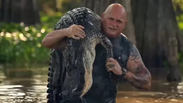 Les marécages se moquent de la saison de chasse des crocodiles la plus exigeante qui jusqu'à présent | Vidéo exclusive