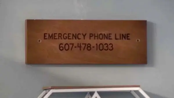 Jackets Yelloy: Ascolta il telefono di emergenza Lottie Matthew (esclusivo)