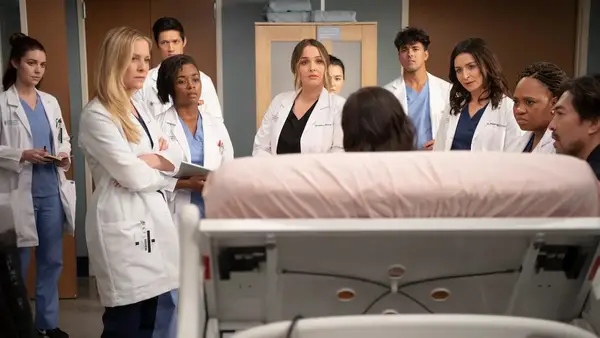 L'anatomie de Grey Jessica Capshaw dit que le retour de l'Arizona apporte la magie dans la saison 20
