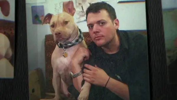 Explicado mal vegano: sobre esa llamada telefónica