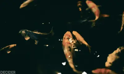 COLOR COORDINATED FISH!