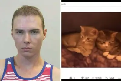 Qui est Luka Magnotta, le tueur de chats à Dons f ** k avec des chats de Netflix?