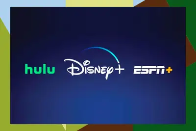 Disney bundle with border