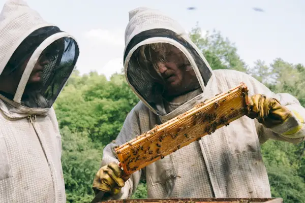 „Bugonia“-Ende erklärt: Die Bedeutung hinter dem Emma-Stone-Film