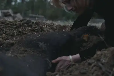 The Nest Horse scene explained