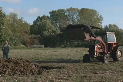 O fim do ninho explicou: o que significa a cena do cavalo?