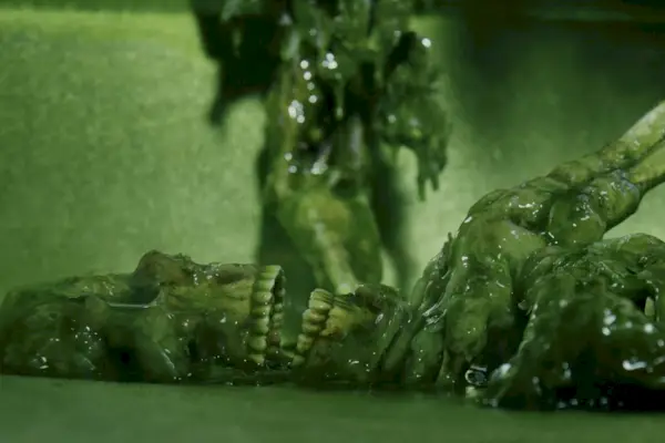 Cena do esqueleto do banho de ácido de Wake Up Dead Man