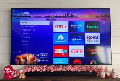roku home screen on tv