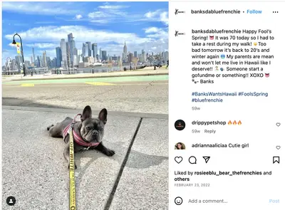 Onde estão Khani e Matt da terceira reunião mais longa? O que aconteceu com o doutor Netflix?