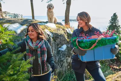 Transfira ou solte: para todas as boas noites em filmes da Hallmark