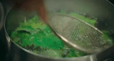 THE BEAR 204 LEAFY GREEN