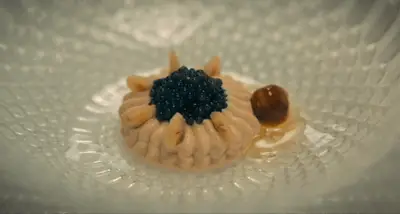 THE BEAR 204 MARZIPAN THING