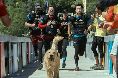 Transferido Arthur, o rei, para Netflix ou HBO Max?