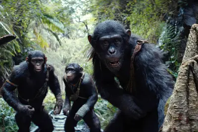 O reinado do planeta Monkey em Netflix ou HBO Max?