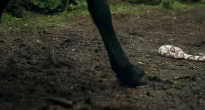 Outlander Temporada 7, episódio 4 Resumo: Uma mulher desagradável