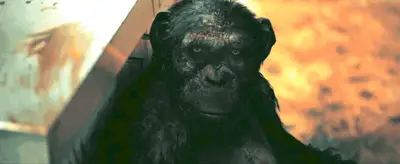 O caso do Episódio 3 da Casa de Usher: Sr. Business