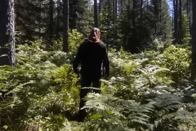 ¿Está transmitiendo en naturaleza violenta en Netflix o Shudder?