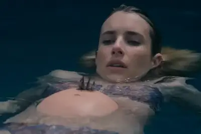 AHS-Delicate-Raccoon