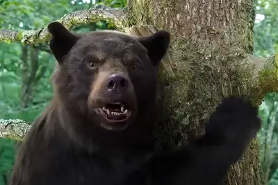 ¿Se transmite cocain ours en hbo max o netflix?