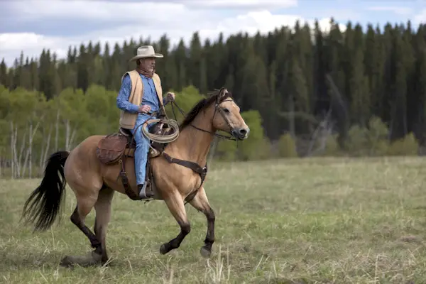 Quando 'Heartland', temporada 19, episódio 6, estará no UP Faith