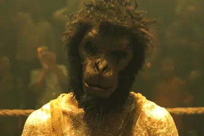 Macaco, você é muito digital, mas quando transmite para Pfau?