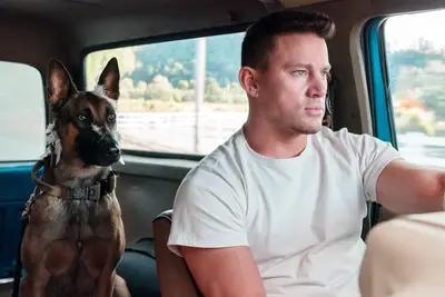 ¿El perro está en HBO Max o Netflix? Dónde ver la película Channing Tatum