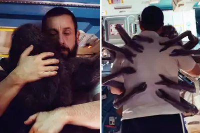 Adam Sandler hugging a giant spider