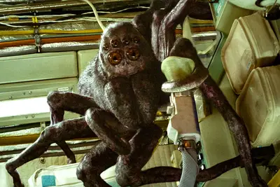 O fim do Spaceman disse: A enorme aranha do filme de Adam Sandler Netflix Netflix?