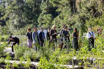 Onde estava o menu no HBO Max Shot? Posições mais altas